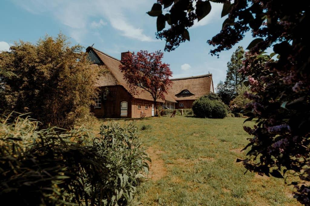 Landhaus Kurzenmoor Remise 100 Qm Seester ภายนอก รูปภาพ